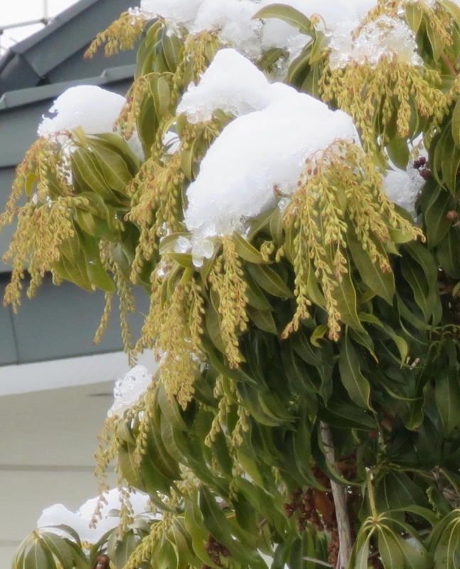 f:id:atarou:20150312082723j:image