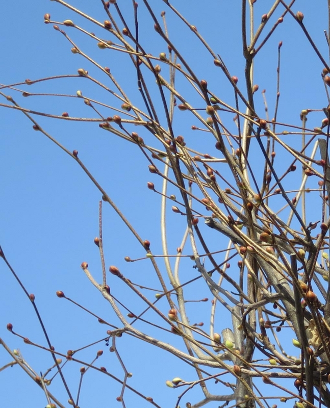 f:id:atarou:20150323064042j:image