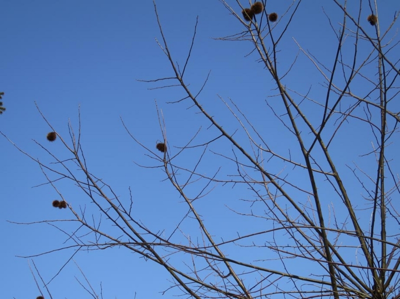 f:id:atarou:20150323070449j:image