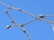 20150327065128