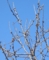20150327065618