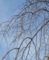 20150328061150