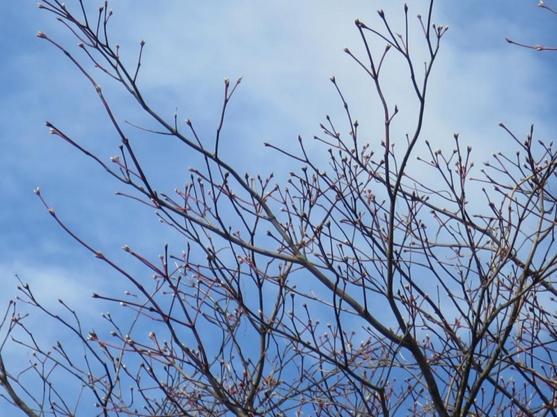 f:id:atarou:20150402063107j:image