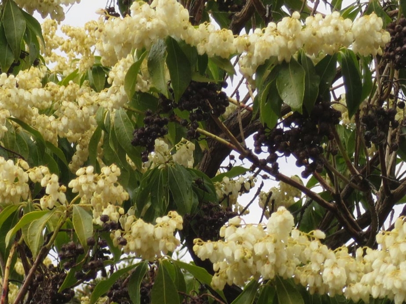 f:id:atarou:20150404071144j:image
