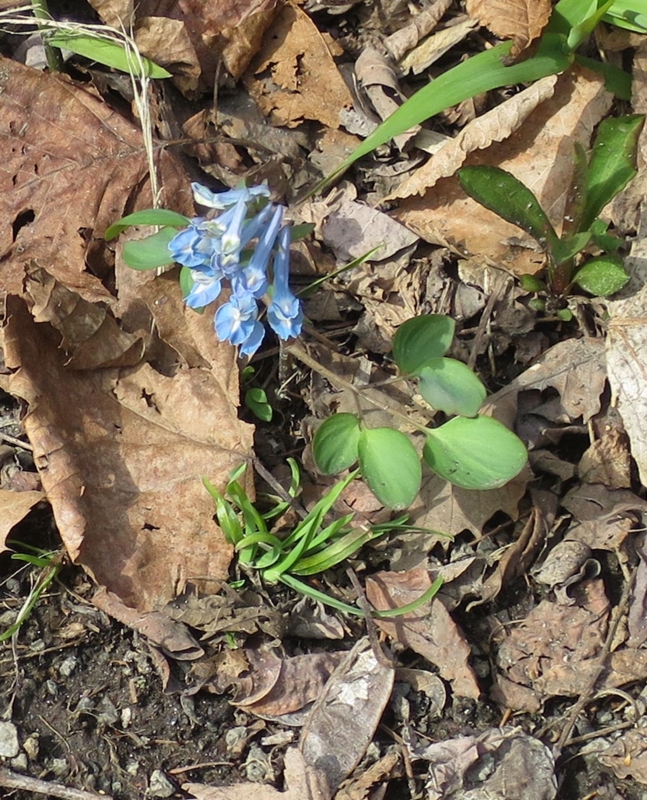 f:id:atarou:20150407061920j:image