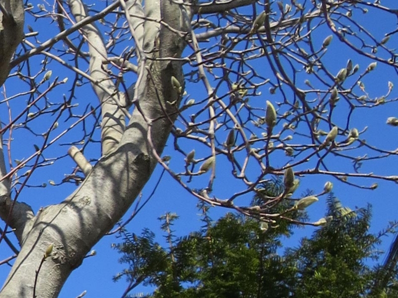 f:id:atarou:20150409062138j:image