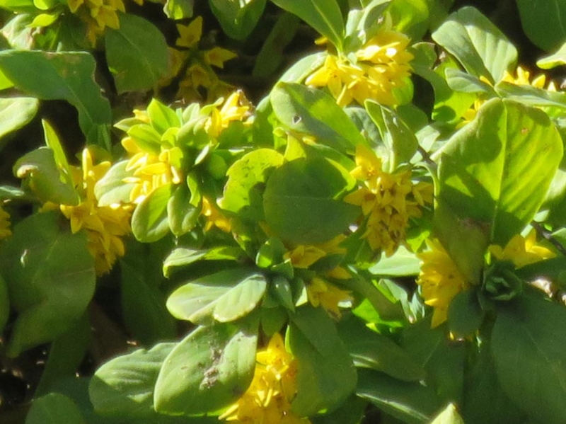 f:id:atarou:20150409064124j:image