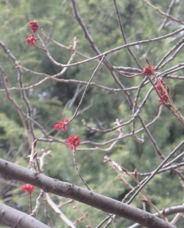 f:id:atarou:20150410061723j:image