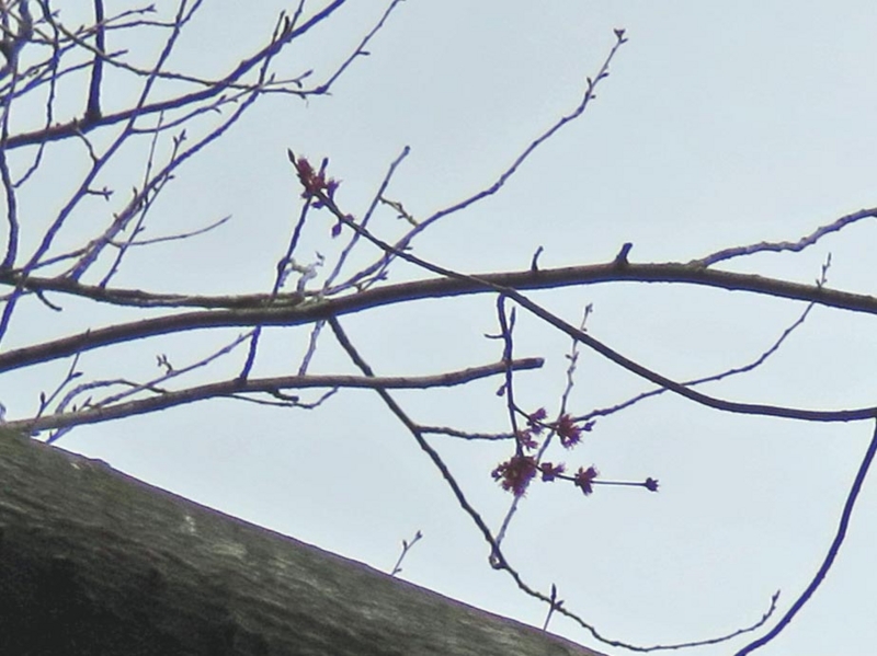 f:id:atarou:20150410061726j:image