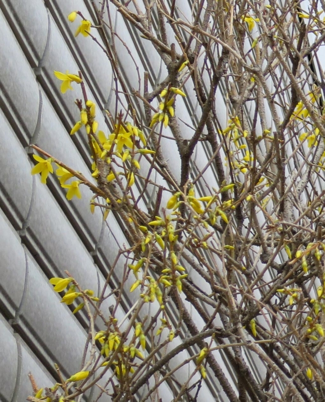 f:id:atarou:20150410061759j:image