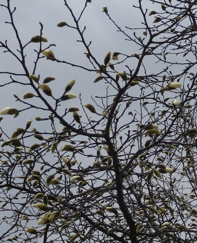 f:id:atarou:20150410062624j:image