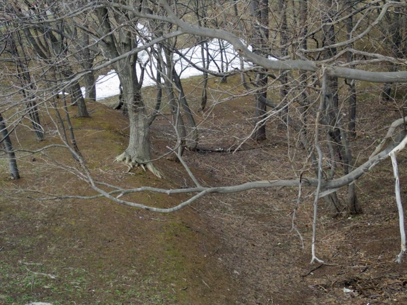 f:id:atarou:20150410164432j:image