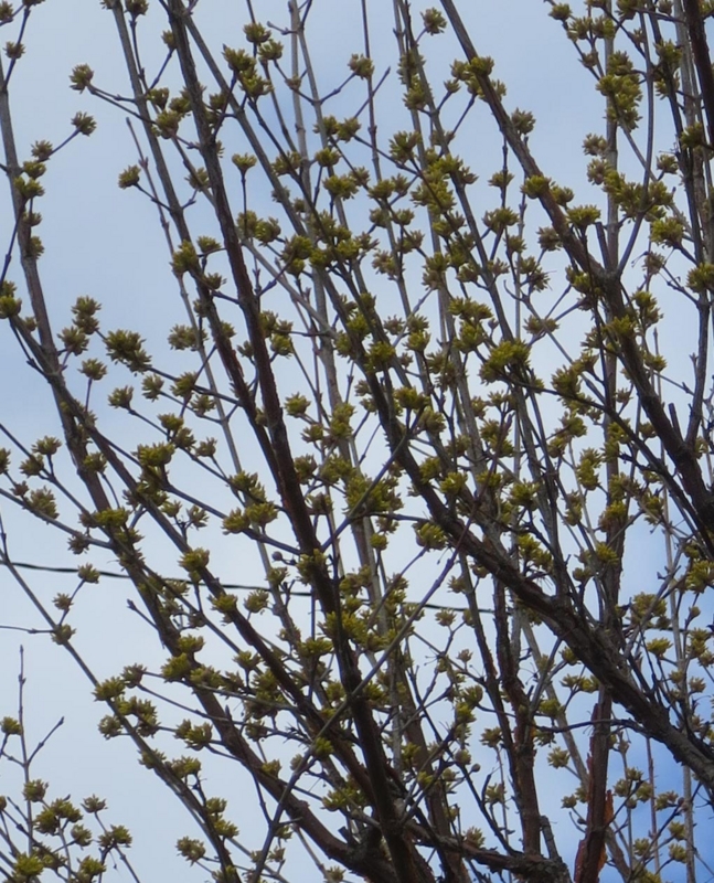 f:id:atarou:20150412063038j:image