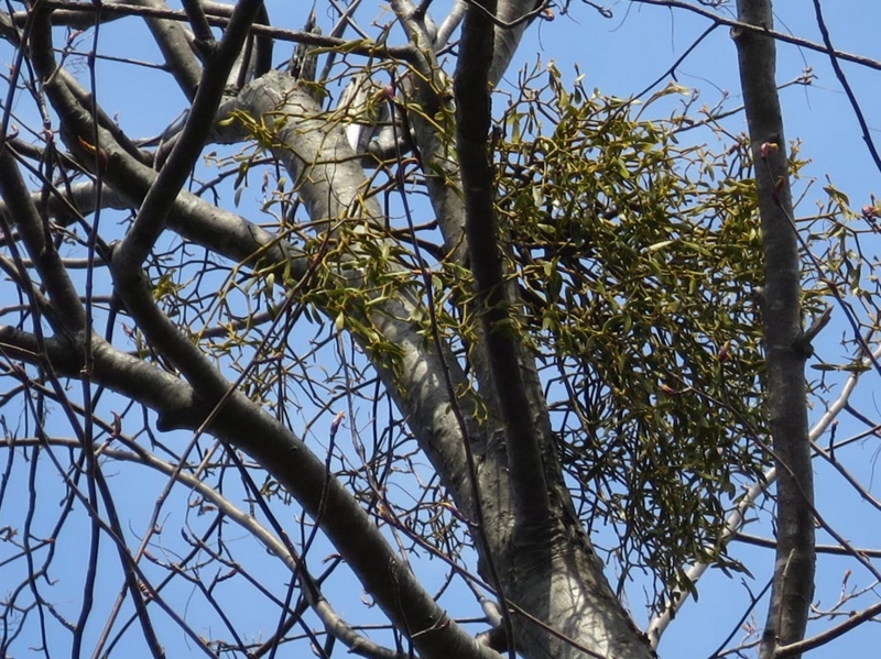 f:id:atarou:20150413061944j:image f:id:atarou:20150413061944j:image