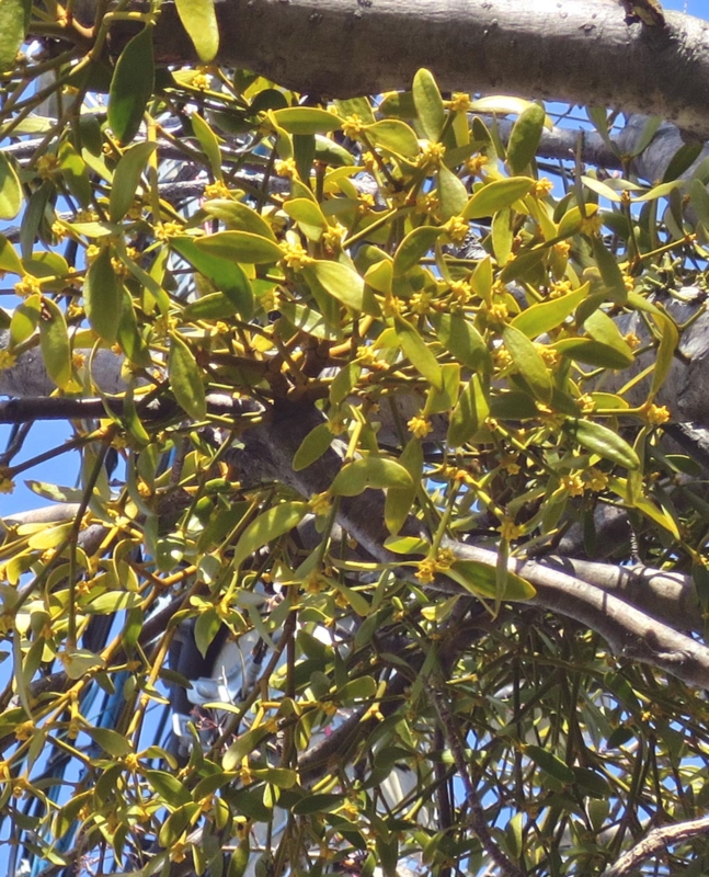 f:id:atarou:20150414060147j:image