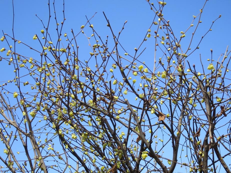 f:id:atarou:20150414173445j:image