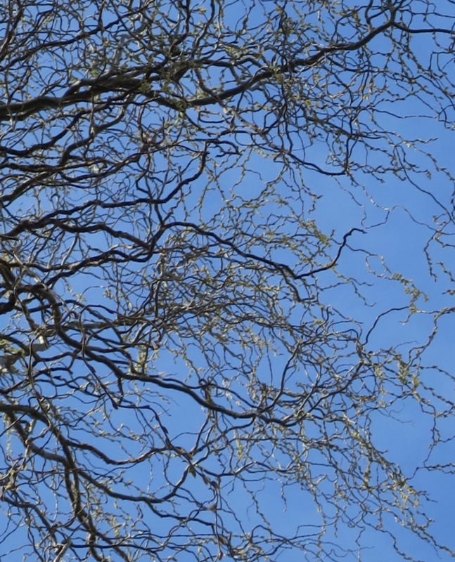 f:id:atarou:20150414173949j:image