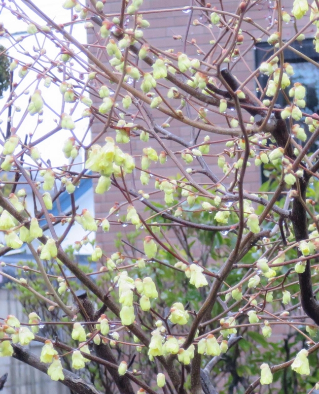 f:id:atarou:20150416065009j:image