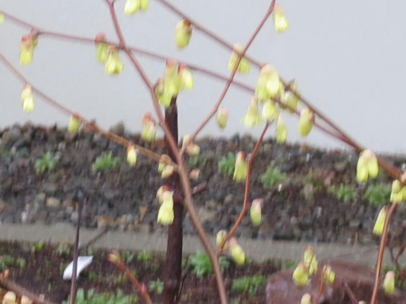 f:id:atarou:20150416070155j:image