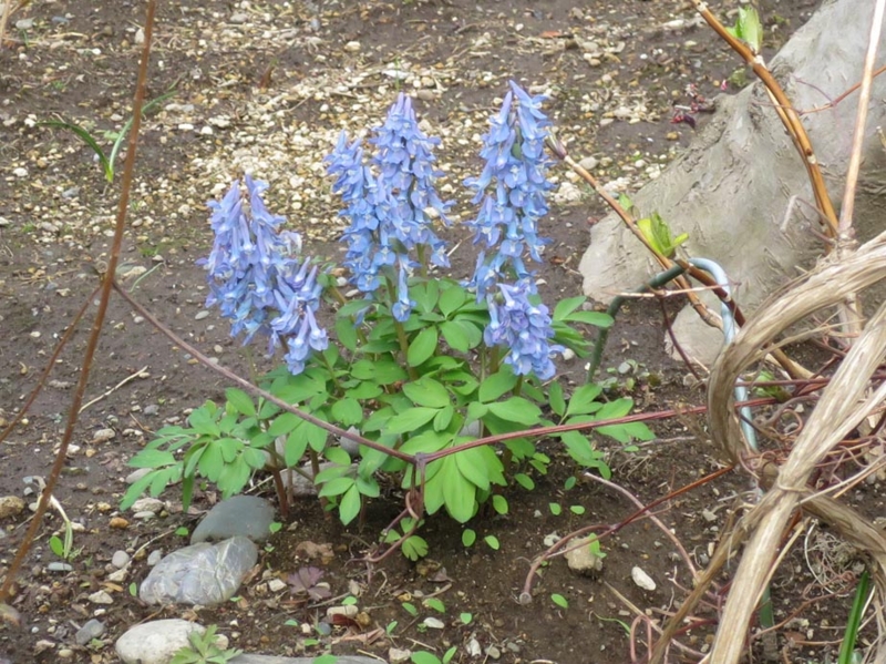 f:id:atarou:20150419072039j:image f:id:atarou:20150419072039j:image