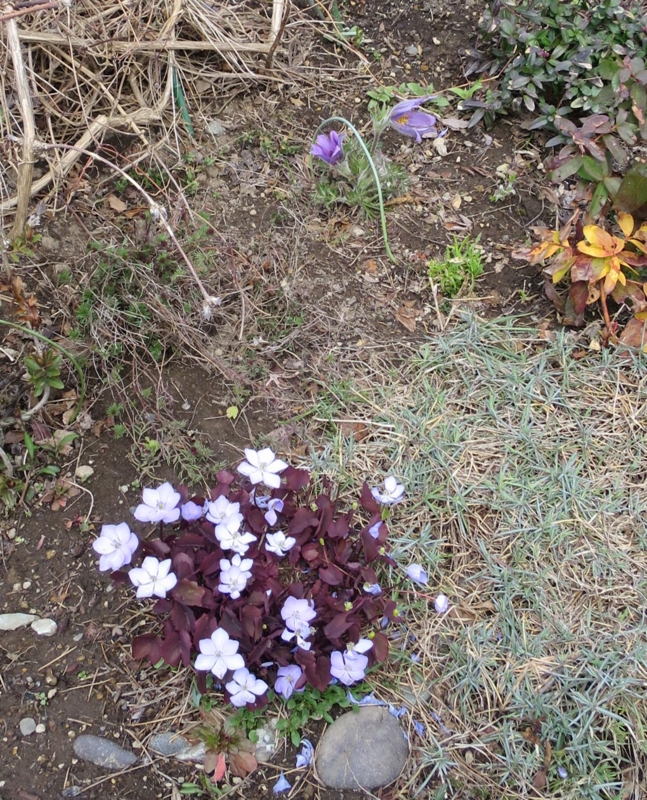 f:id:atarou:20150419072041j:image f:id:atarou:20150419072041j:image