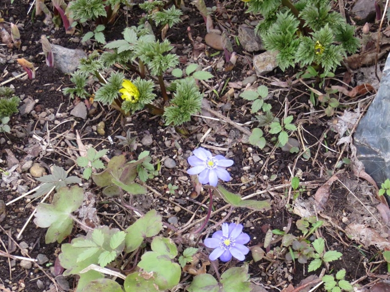 f:id:atarou:20150419072046j:image f:id:atarou:20150419072046j:image