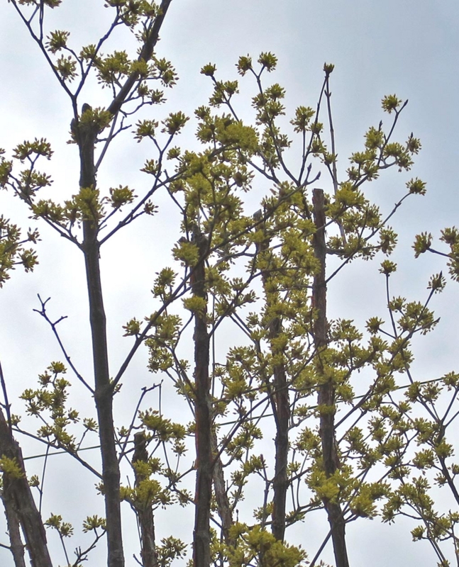 f:id:atarou:20150420065014j:image f:id:atarou:20150420065014j:image