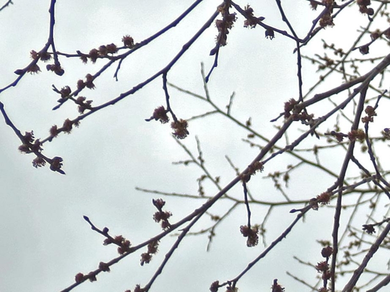 f:id:atarou:20150420065834j:image f:id:atarou:20150420065834j:image