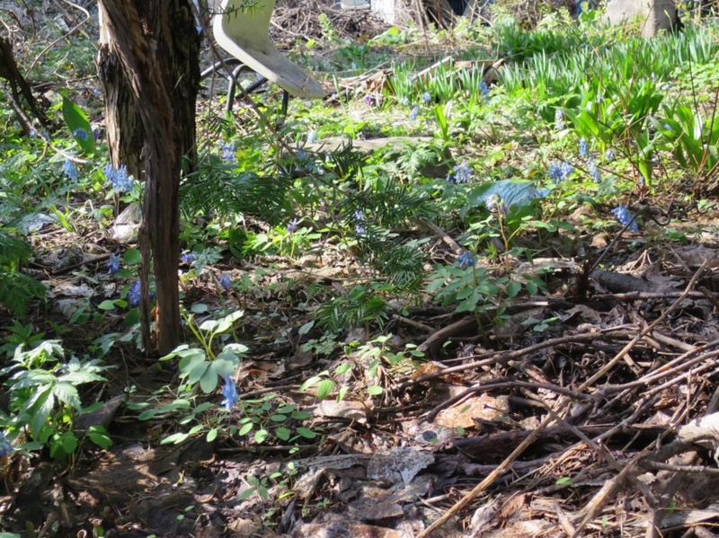 f:id:atarou:20150422064545j:image f:id:atarou:20150422064545j:image