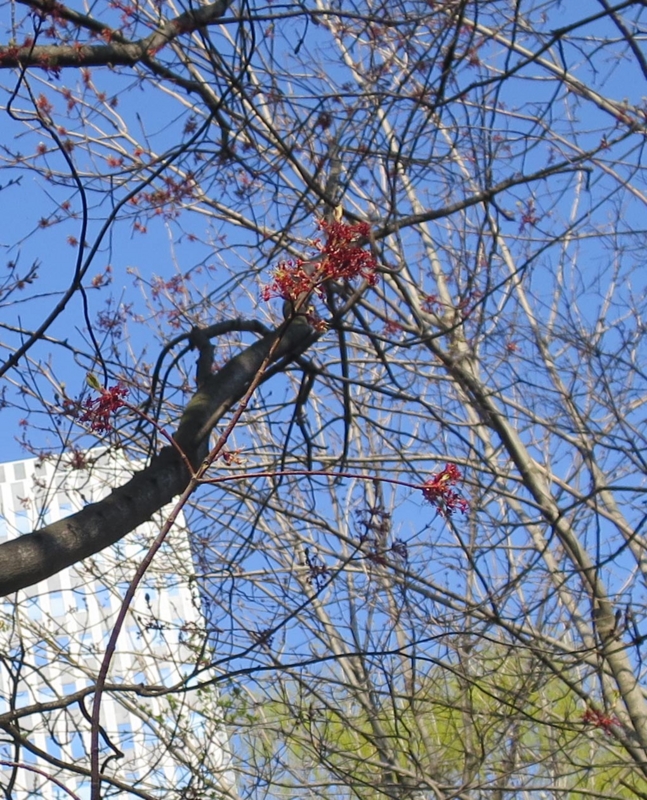 f:id:atarou:20150424064100j:image