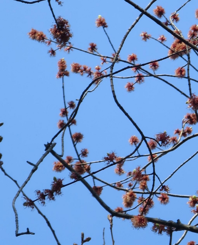 f:id:atarou:20150424064102j:image