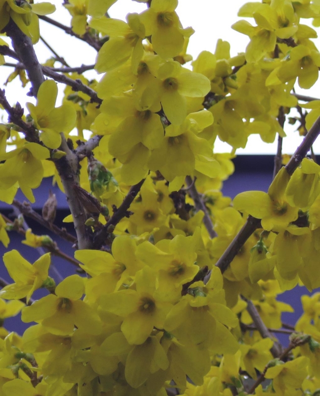 f:id:atarou:20150424174159j:image
