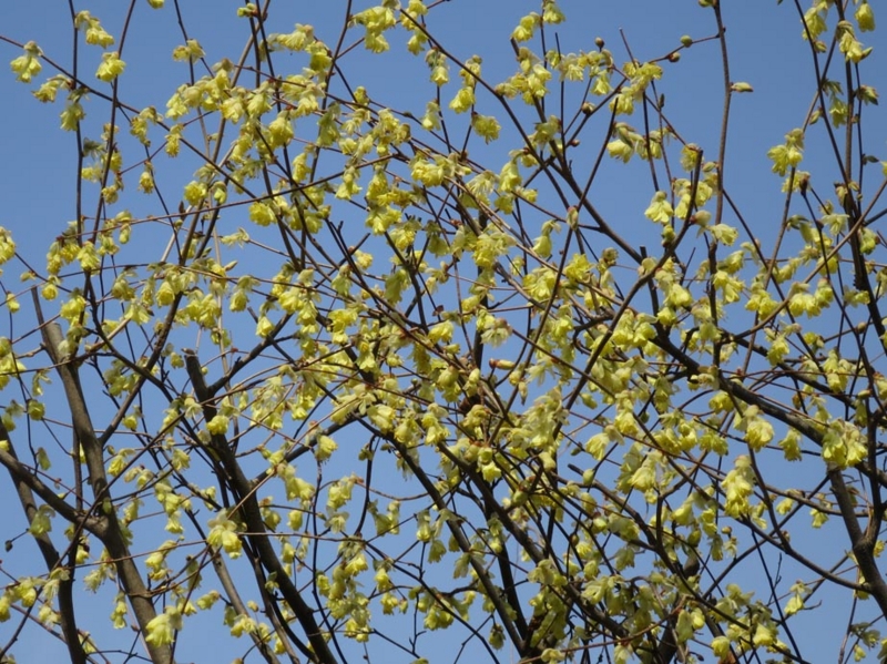 f:id:atarou:20150427070029j:image