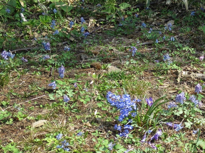 f:id:atarou:20150427070031j:image