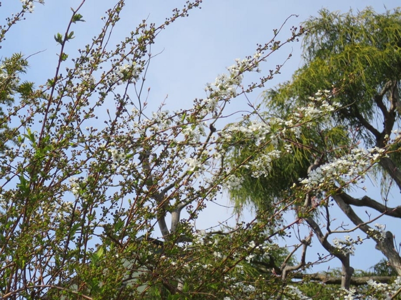 f:id:atarou:20150427070758j:image