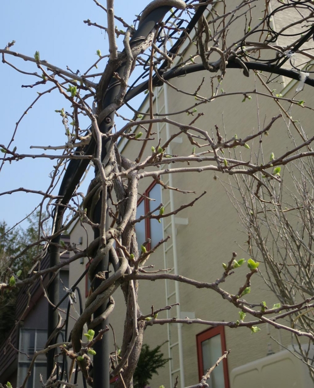 f:id:atarou:20150428065819j:image