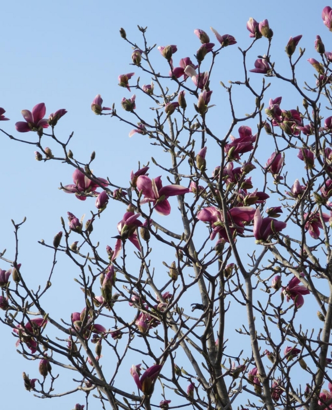 f:id:atarou:20150428070928j:image