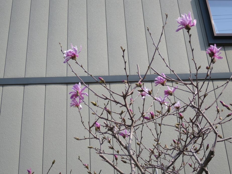 f:id:atarou:20150428071454j:image