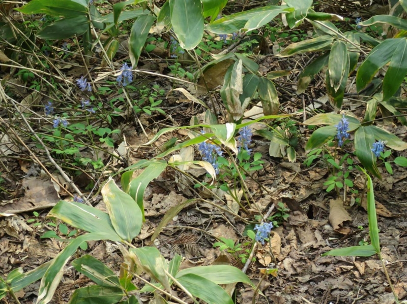 f:id:atarou:20150428173554j:image f:id:atarou:20150428173554j:image