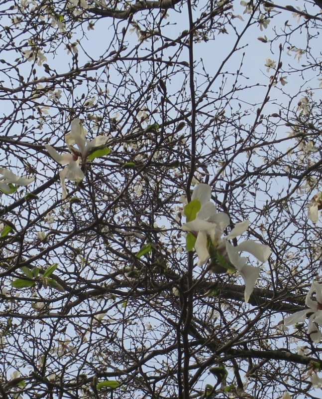 f:id:atarou:20150428173558j:image f:id:atarou:20150428173558j:image