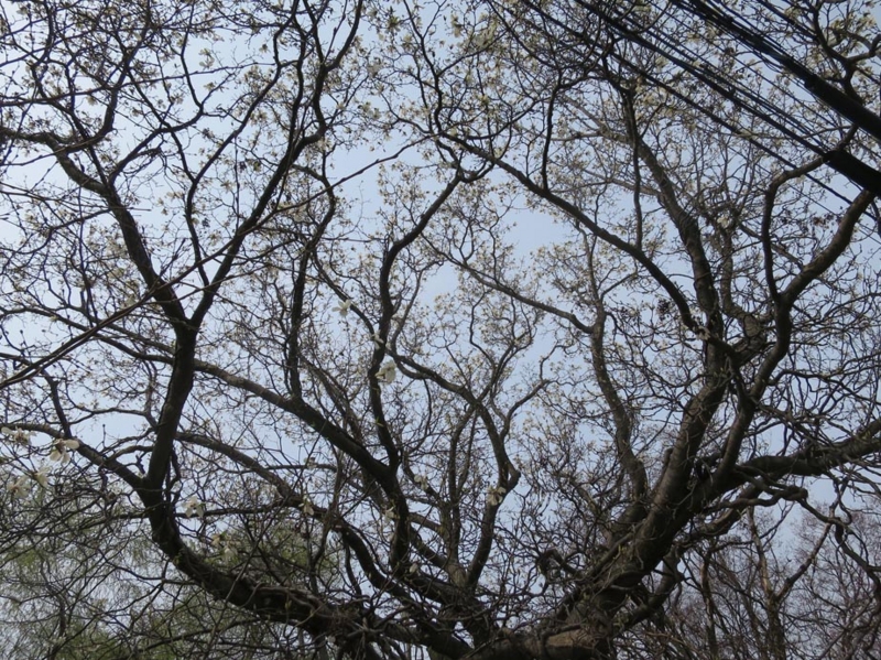 f:id:atarou:20150428173605j:image f:id:atarou:20150428173605j:image