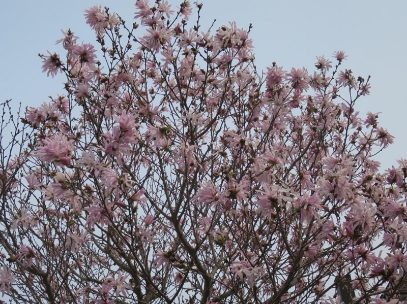 f:id:atarou:20150429070114j:image f:id:atarou:20150429070114j:image