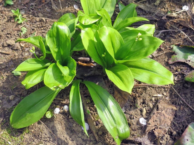 f:id:atarou:20150501063654j:image f:id:atarou:20150501063654j:image