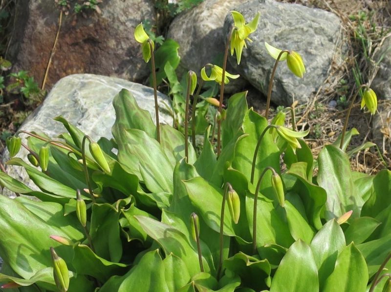 f:id:atarou:20150501063657j:image f:id:atarou:20150501063657j:image