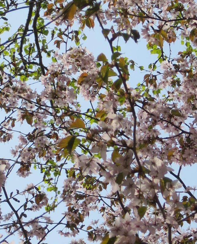 f:id:atarou:20150501064757j:image f:id:atarou:20150501064757j:image