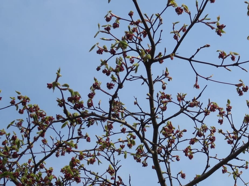 f:id:atarou:20150501064800j:image f:id:atarou:20150501064800j:image