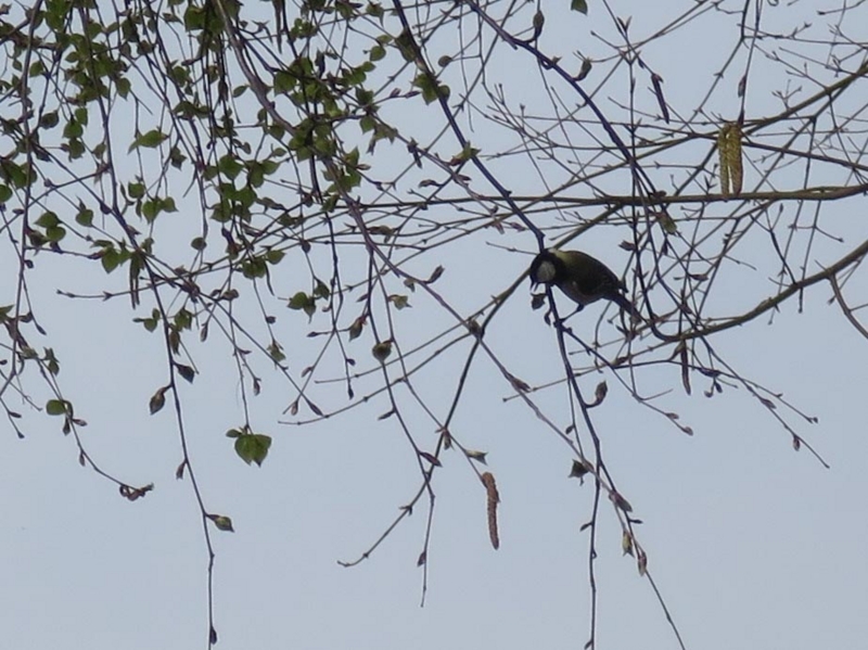 f:id:atarou:20150501065238j:image f:id:atarou:20150501065238j:image