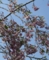 20150507064540