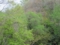 20150507065117
