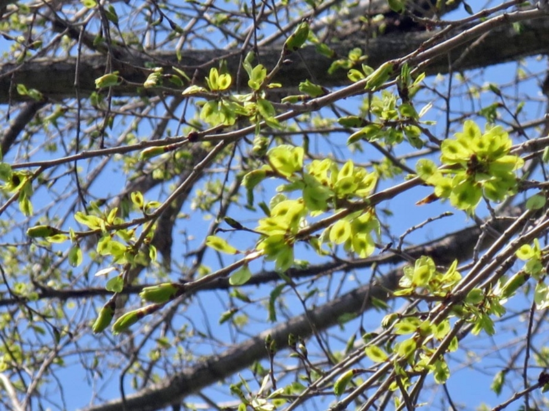 f:id:atarou:20150519064306j:image